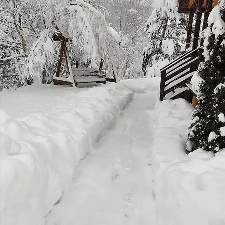 Trzy W Bieszczadach *