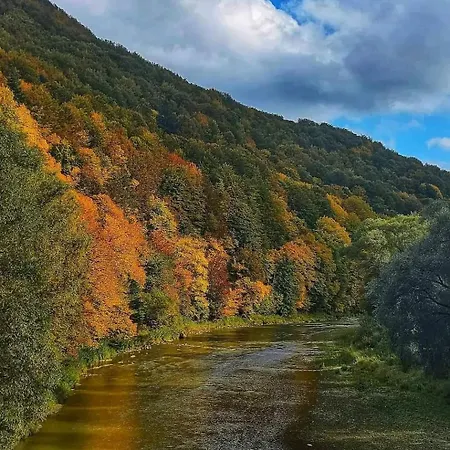 Trzy W Bieszczadach